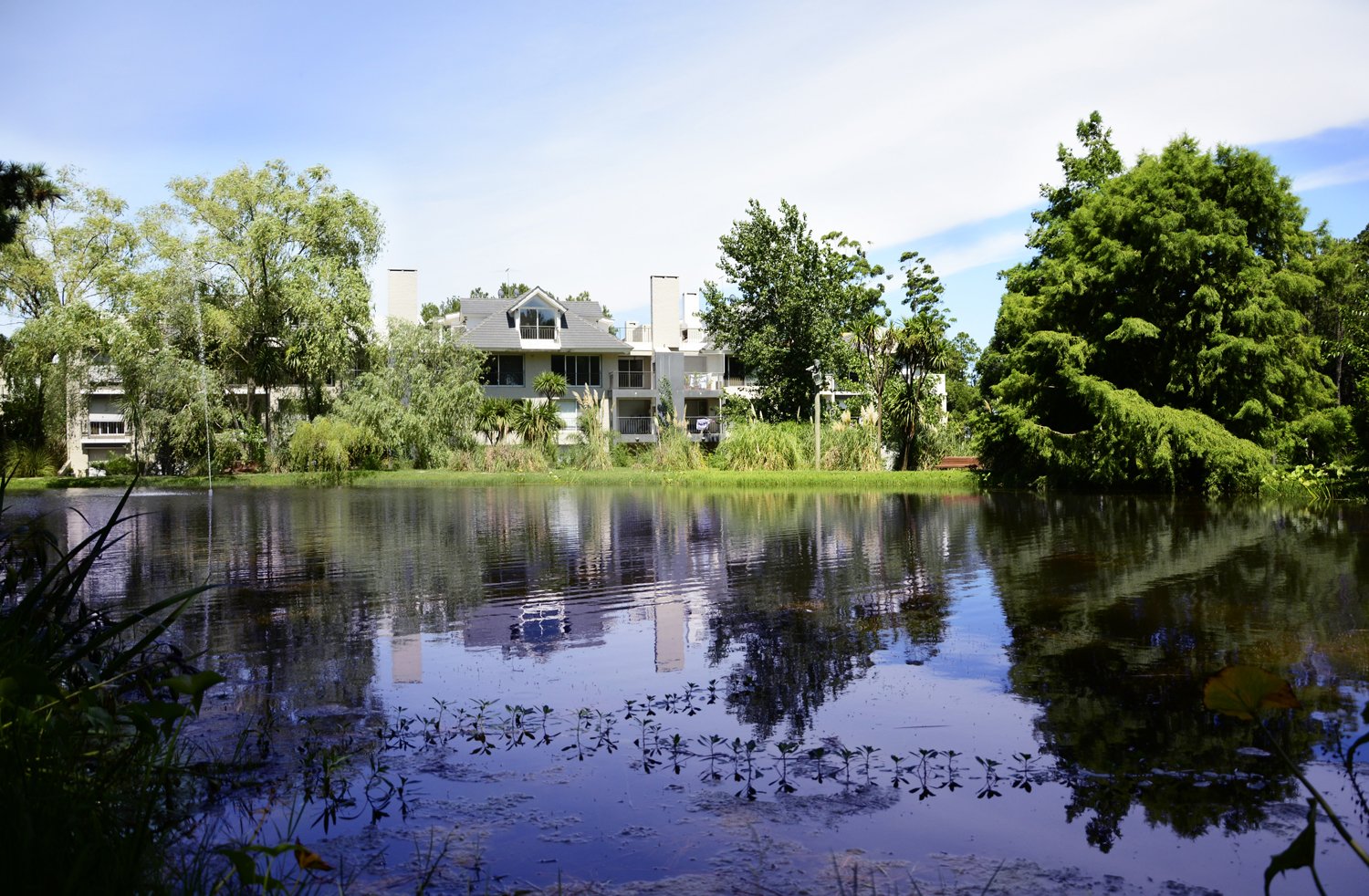 Foto de Haras del Lago